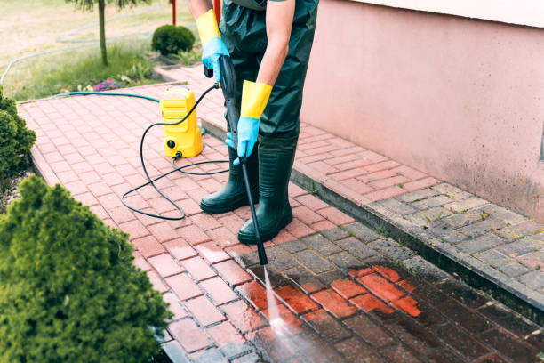 Best Fence Cleaning and Maintenance in Coldspring, TX